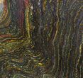 Polished Tiger Iron Stromatolite - ( Billion Years) #92818-1